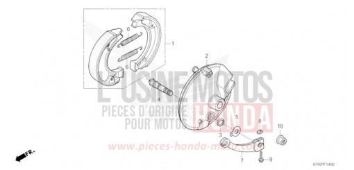 FRONT BRAKE PANEL CRF110FS de 2025